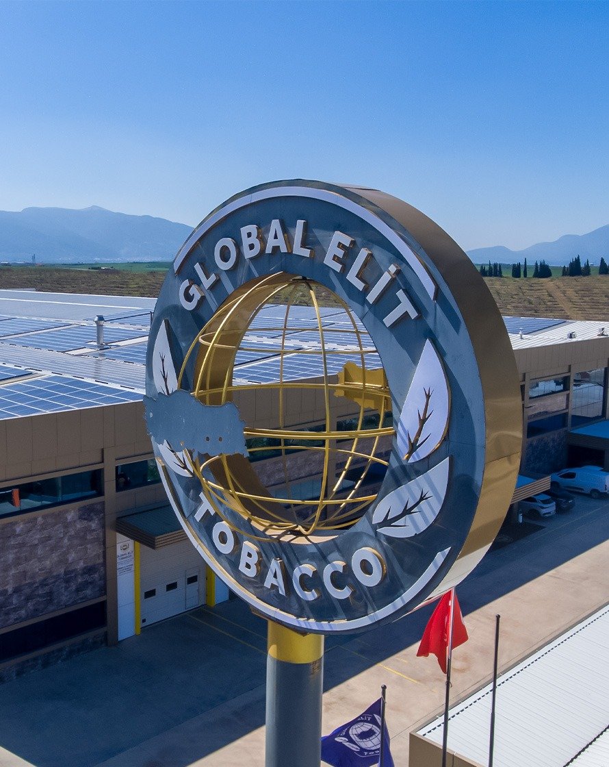 Global Elit Tobacco tesis tabelası